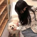 超级小精灵ol无限金币版下载